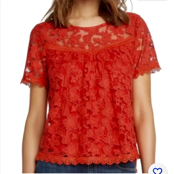 Willow and Clay Women’s Red Lace Intricate Floral S/S Lined Top-Sz XS-Quick - Picture 3 of 15